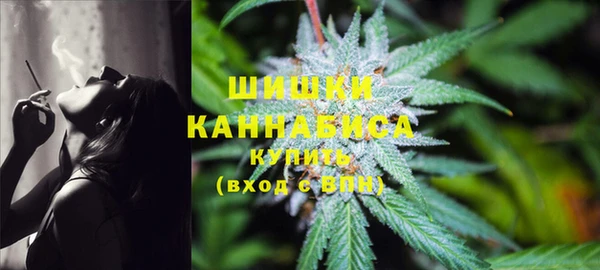 дмт Козловка