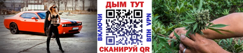 Купить Зверево Канабис MAZAR